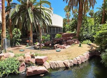 nevada/boulder-city/attraction/flamingo-wildlife-habitat