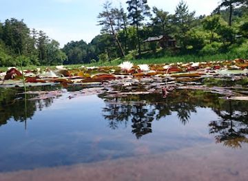 japan/sanuki/attraction/kurozo-marshland