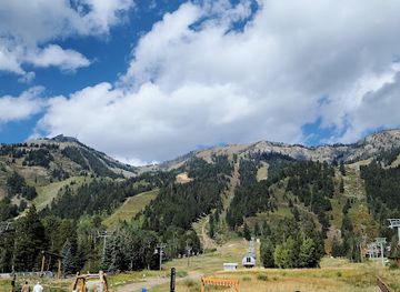 wyoming/bridger-teton-national-forest/attraction/jackson-hole-mountain-resort