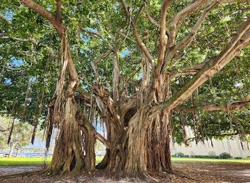 florida/st-petersburg-beach/attraction/north-straub-park