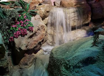 SEA LIFE at Mall of America