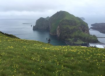 iceland/westman-islands/attraction/klif