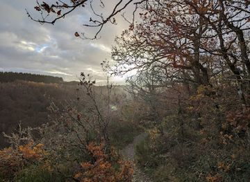 belgium/la-roche-en-ardenne/attraction/point-de-vue