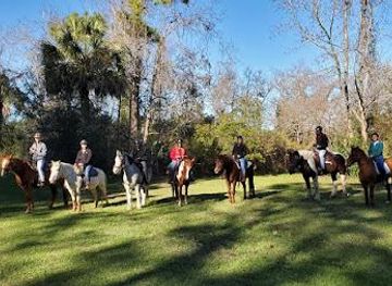 south-carolina/summerville/attraction/middleton-place-equestrian-center
