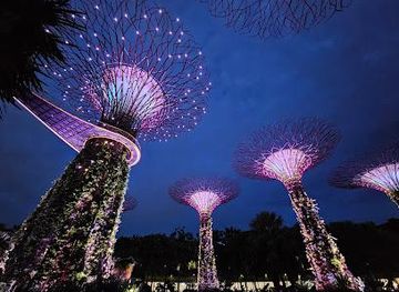 singapore/chinatown/attraction/garden-rhapsody