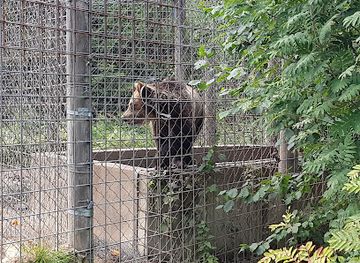 finland/south-karelia/attraction/kiteen-elainpuisto-oy