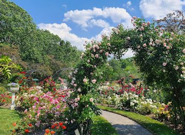 massachusetts/boston/fenway-kenmore/attraction/james-p-kelleher-rose-garden