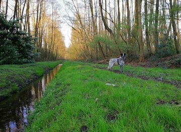 belgium/genk/attraction/stiemerbeek-waterschei