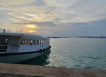 maldives/hulhumale-island/attraction/shark-paradise