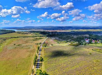 hungary/transdanubia/attraction/lavender-field