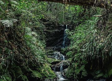 japan/aki/attraction/ioki-cave