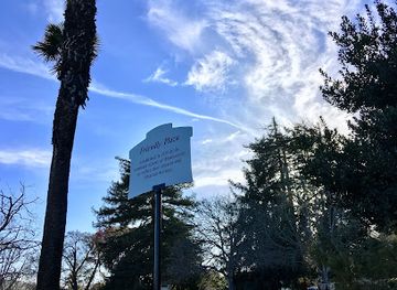 california/monterey/attraction/monterey-moon-tree