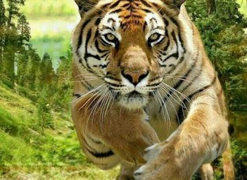 uzbekistan/syrdarya-region/attraction/istirohat-bog-i