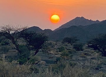 oman/bahla/attraction/ostrich-park