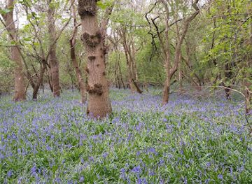 united-kingdom/huntingdonshire/attraction/upwood-meadows
