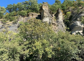 illinois/shawnee-hills/attraction/larue-pine-hills-national-natural-landmark