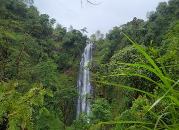tanzania/kilimanjaro-region/attraction/materuni-trekking-and-coffee-tour