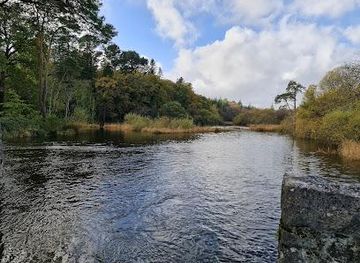 ireland/galway/attraction/cong-wood