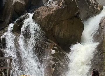 belize/vaca-plateau/attraction/vaca-forest-reserve