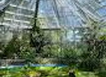 romania/cluj-napoca/attraction/botanical-garden-museum