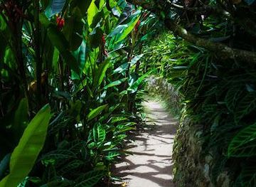 malaysia/cameron-highlands/attraction/o-r-garden