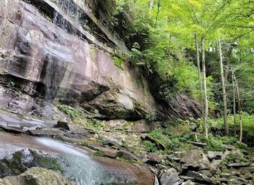 tennessee/pigeon-forge/attraction/rainbow-falls-trail