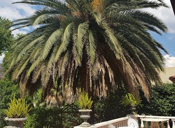 south-africa/johannesburg/attraction/lindfield-victorian-house-museum