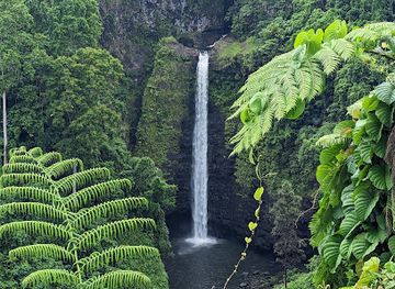 samoa/asau/attraction/sopo-aga-falls-viewpoint