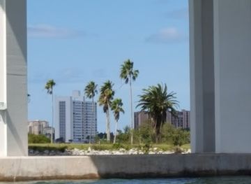 florida/clearwater-beach/attraction/winter-s-dolphin-tale-adventure