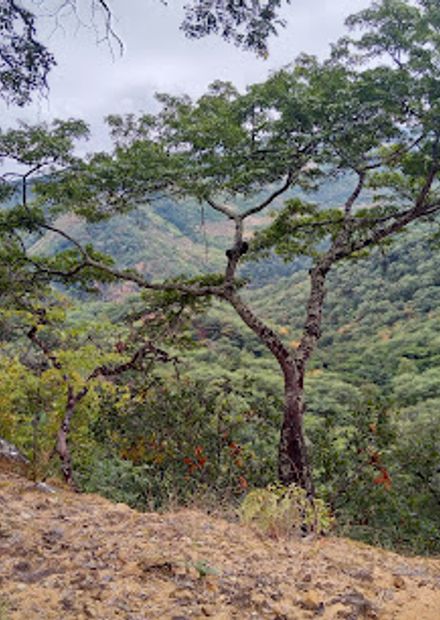 Chitewe mountain