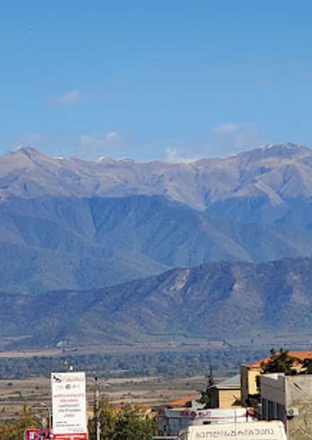 Telavi Bazaar