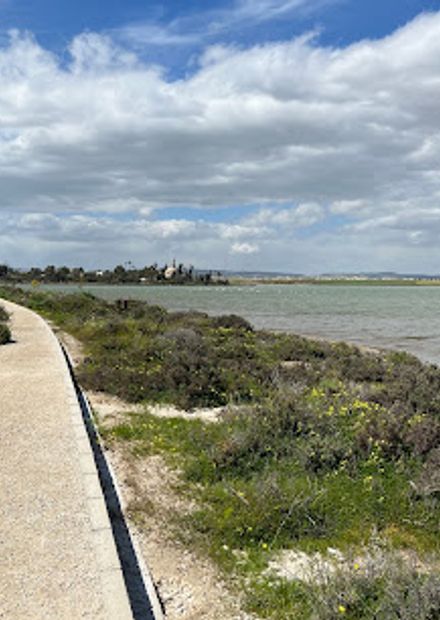 Flamingo observatory spot