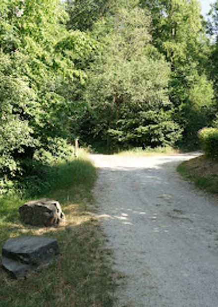 Teich