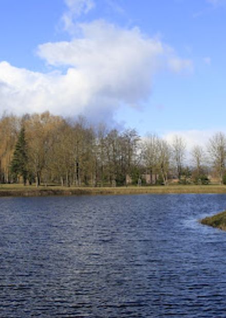 Pašešupio parkas