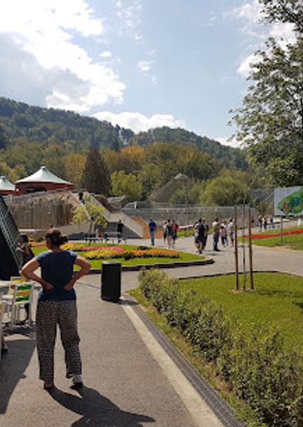 Zoo Brașov
