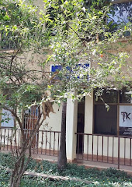 Kilimanjaro Porters Assistance Project - KPAP