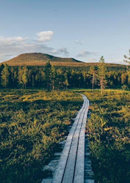 Idrefjäll