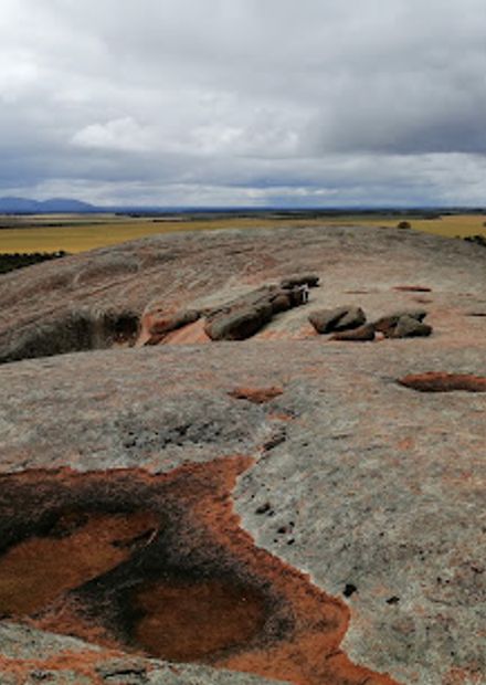 Mt Wudinna