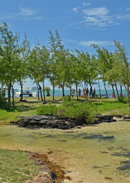 L'îlot Bernache