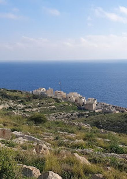 Viewpoint with Blue Benches