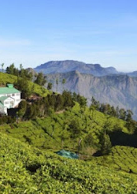 Sunrise Munnar