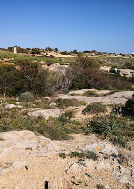 Il-Misqa