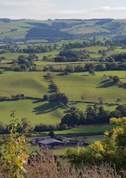 Castell Dolforwyn
