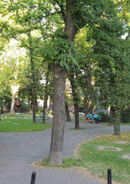 Ferenc Rajhl Park