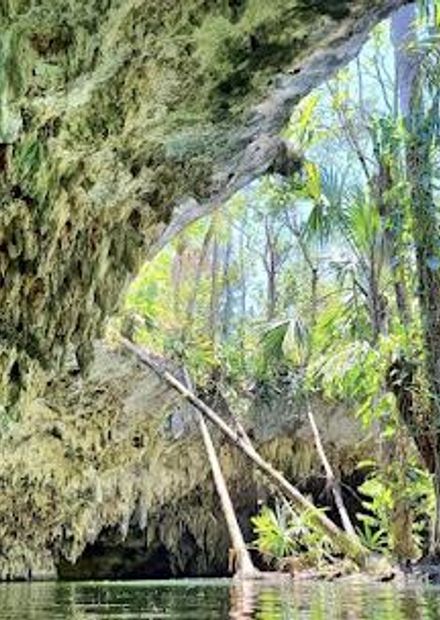 Jade Cavern Cenote Excursion
