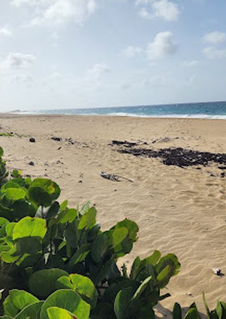 Shore Island Beach