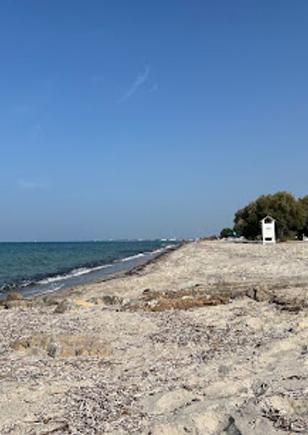 Plage Gratuite KES