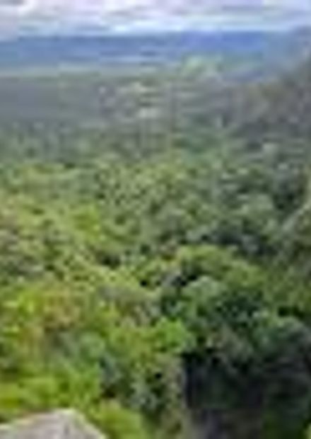 Mapleton Falls lookout