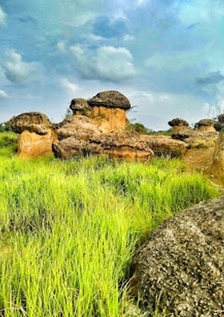 Bukit Jamur