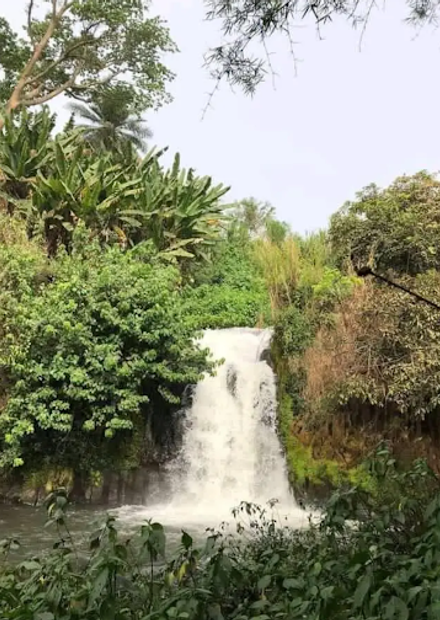 Nkongsamba